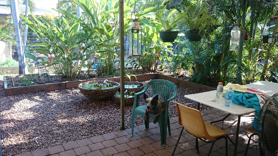 Xena2015-09-06 16.03.20small.jpg