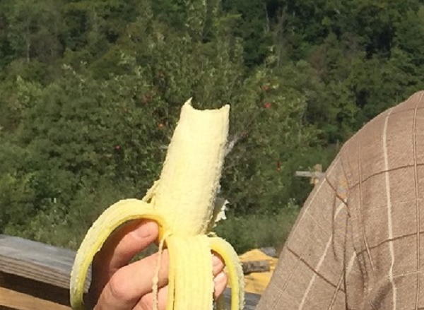 WVbanana3.jpg