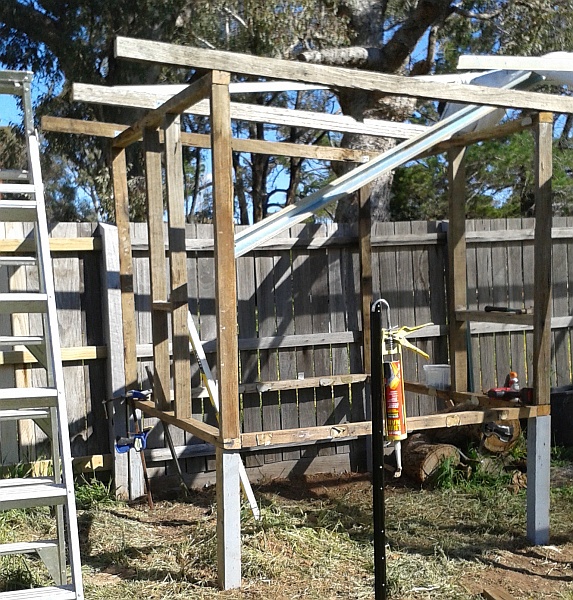 coop in progress.jpg