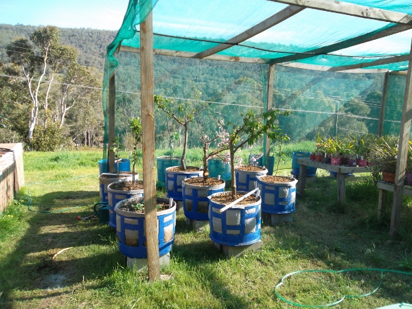 Wicking Barrel Forrest.jpg