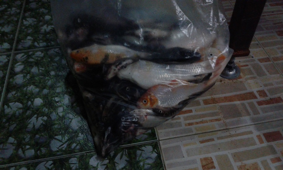 20150928_210954 1.jpg