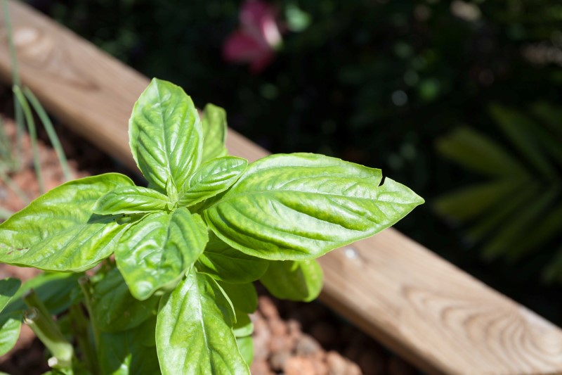 IMG_26548 (Personnalisé).jpg