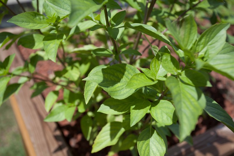 IMG_26549 (Personnalisé).jpg