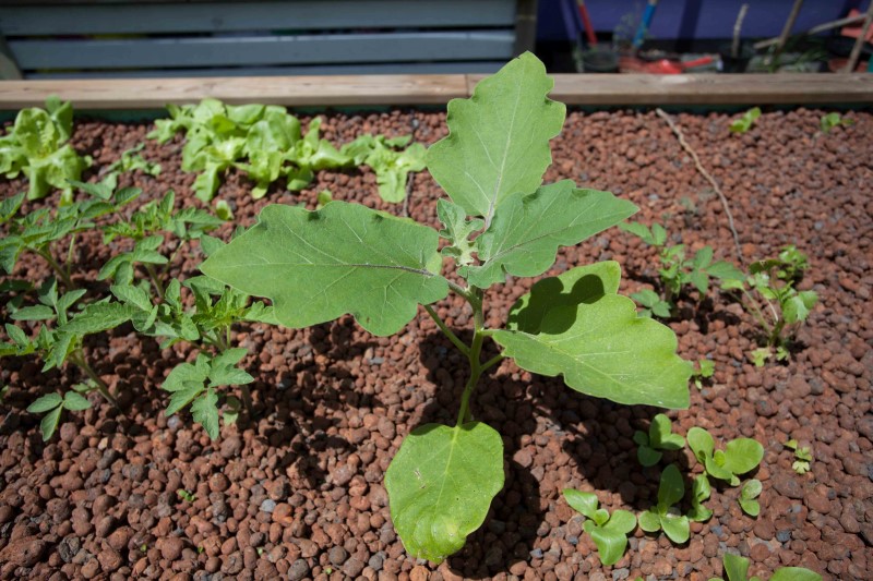 IMG_26550 (Personnalisé).jpg