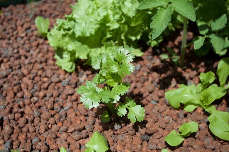 IMG_26551 (Personnalisé).jpg