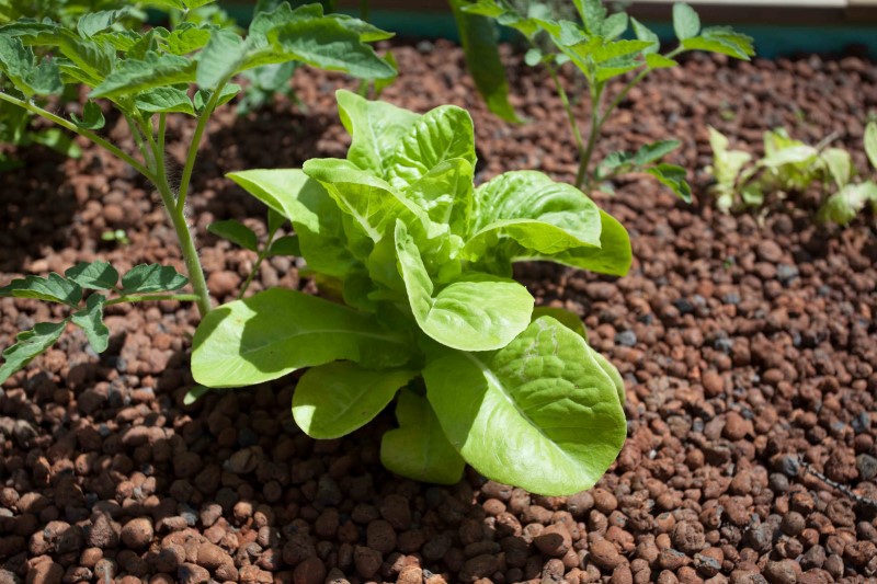 IMG_26553 (Personnalisé).jpg