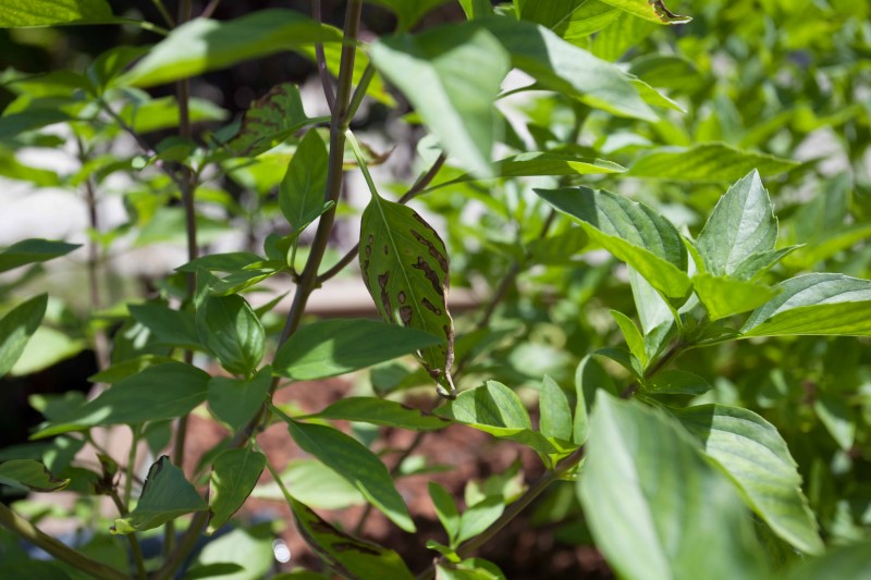 IMG_26554 (Personnalisé).jpg