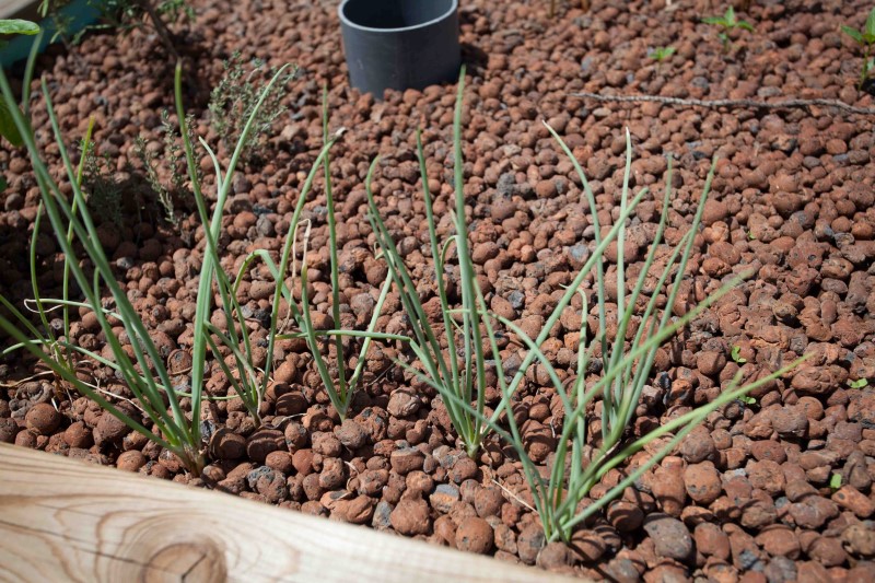 IMG_26558 (Personnalisé).jpg