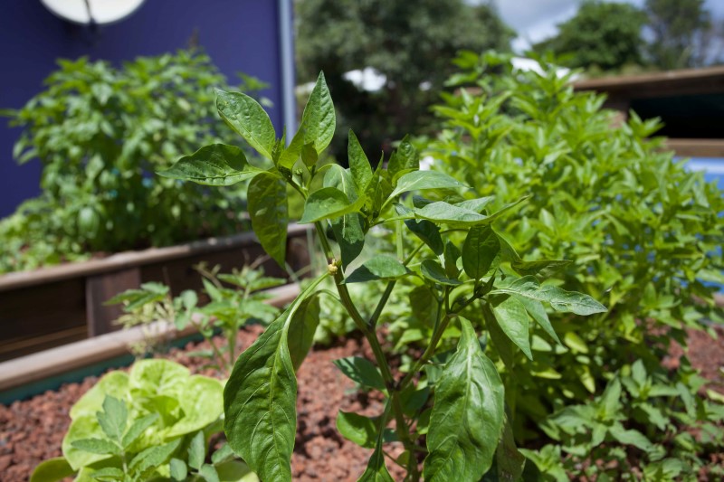 IMG_26559 (Personnalisé).jpg