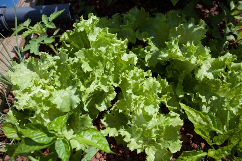 IMG_26563 (Personnalisé).jpg