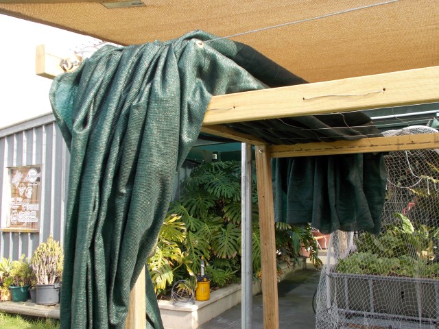 DSCN0608 (Small).JPG