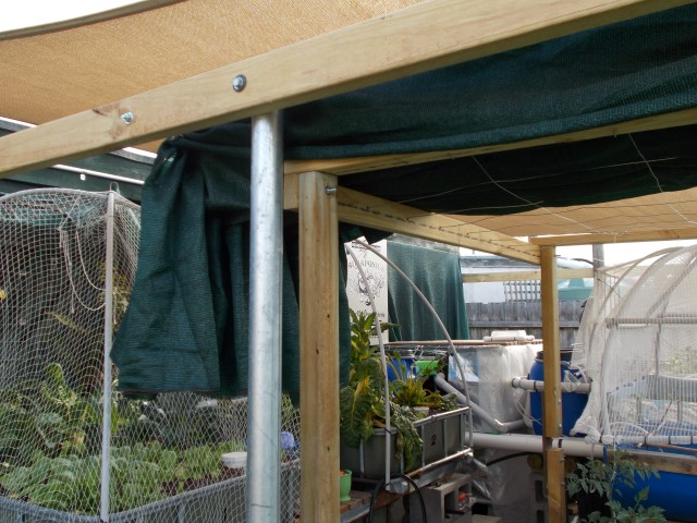 DSCN0609 (Small).JPG