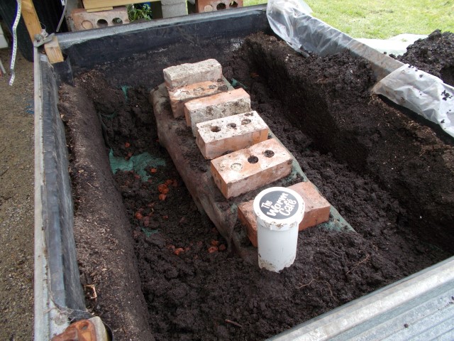 DSCN0561 (Small).JPG