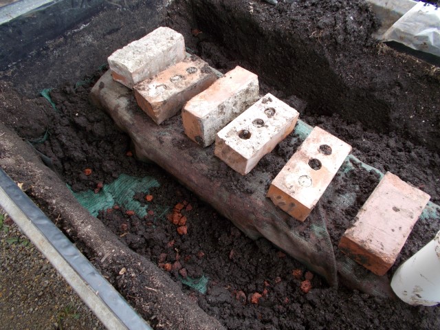 DSCN0563 (Small).JPG