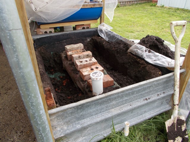 DSCN0566 (Small).JPG