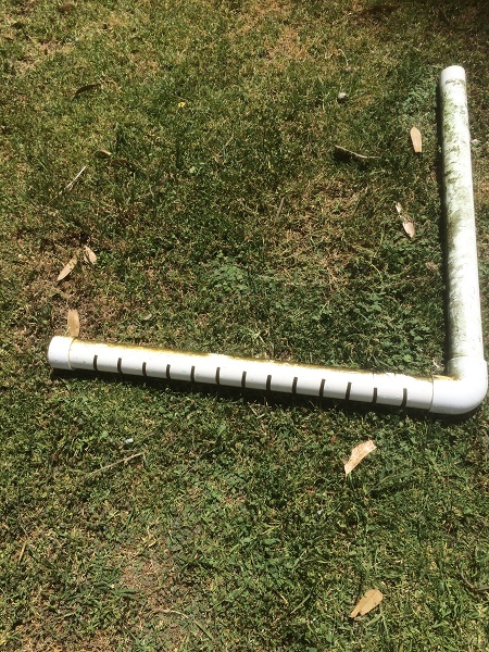 IMG_2561 resized.jpg