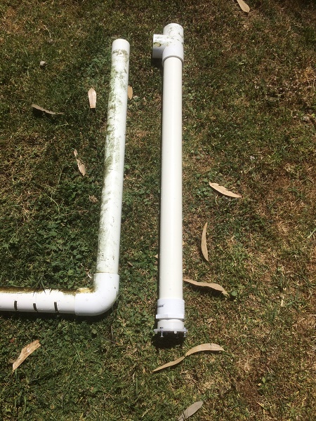 IMG_2562 resized.jpg