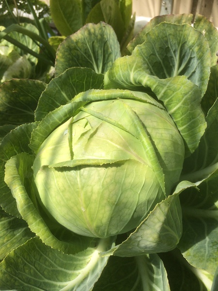 IMG_2585 resized.jpg