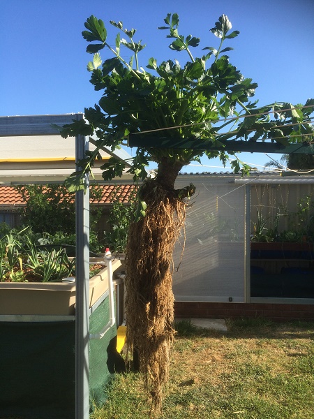 IMG_2556 resized.jpg