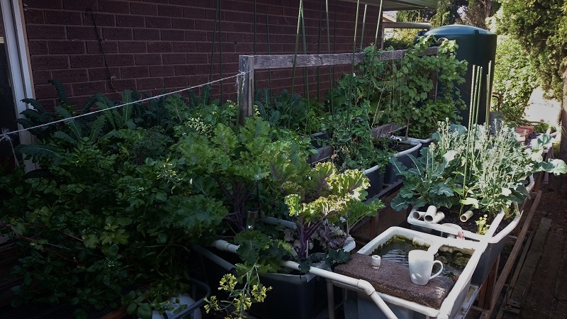 byapsmlsys005 - Copy.JPG