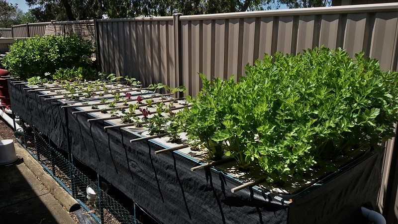 byapdwc002 - Copy.JPG