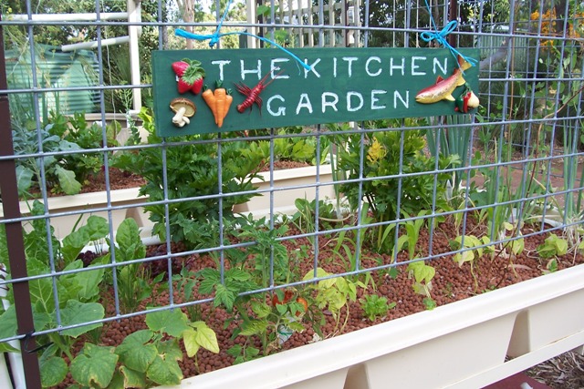 14.12.07 corn and beans.jpg