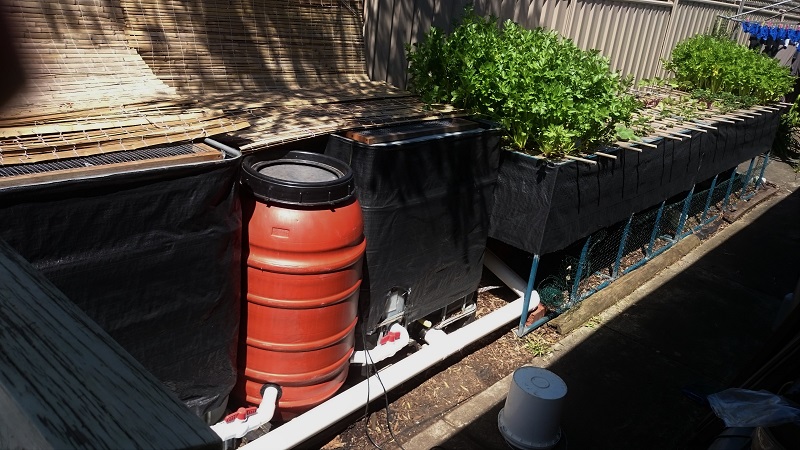 byapdwc001 - Copy.JPG