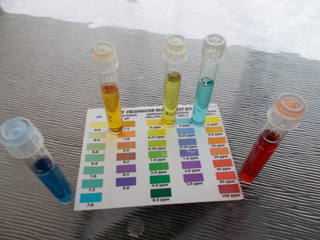 DSCN0633 (Small).JPG