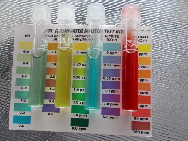 DSCN0623 (Small).JPG