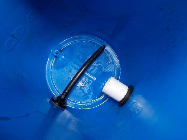 DSCN0617 (Small).JPG