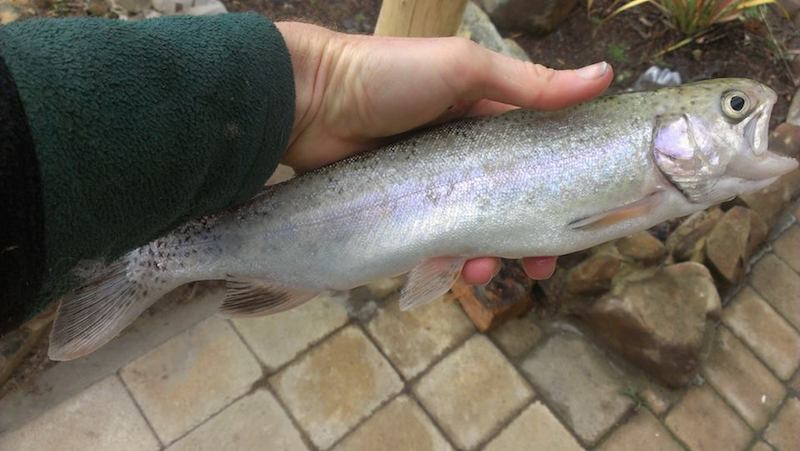 553781_10202179923161546_1366246108_n copy.jpg