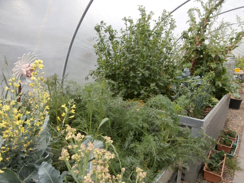 PA160002 (Custom).JPG