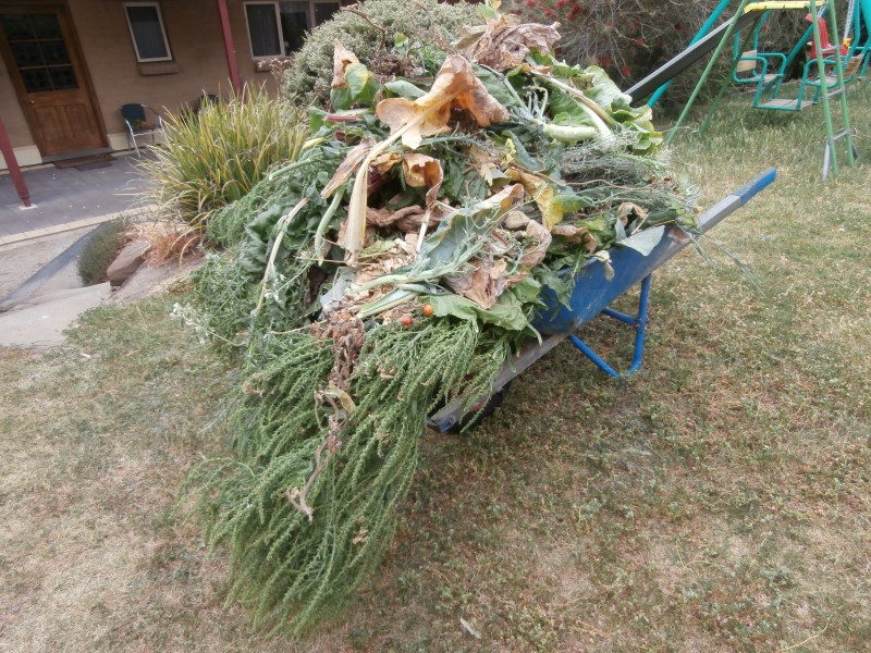 PA160006 (Custom).JPG