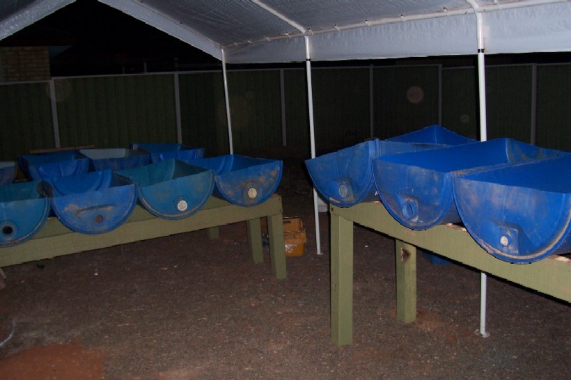 Gnash next system 006.jpg