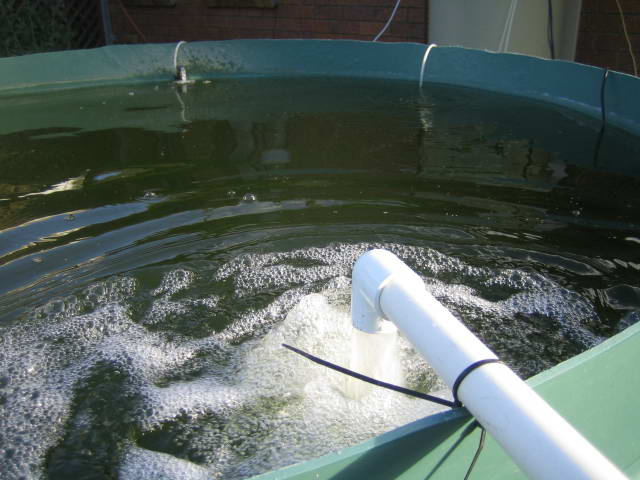 2006-09-13  sump outlet.jpg