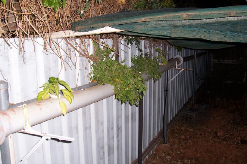 Gnash next system 001.jpg