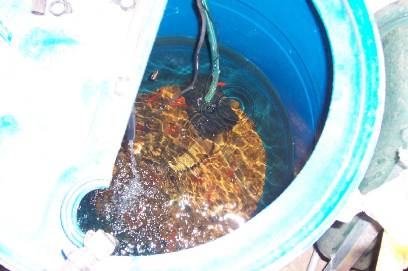 Gnash next system 002.jpg