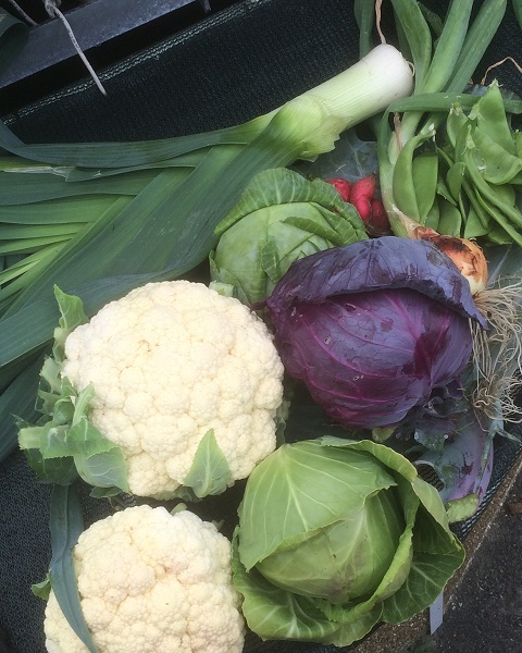 IMG_2625 resized.jpg