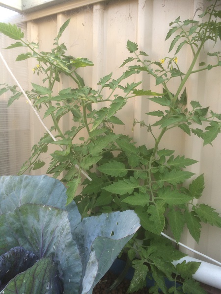 IMG_2621 resized.jpg