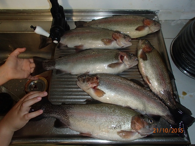 21-10-15 (640x480).jpg