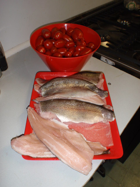 Trout fillets & tomatoes.JPG