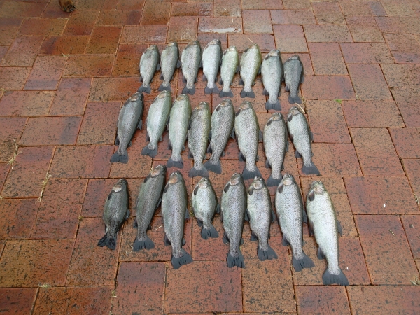 Trout Haul (600x450).jpg