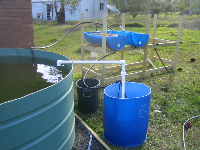 2006-09-13 grow beds and sump wide.jpg