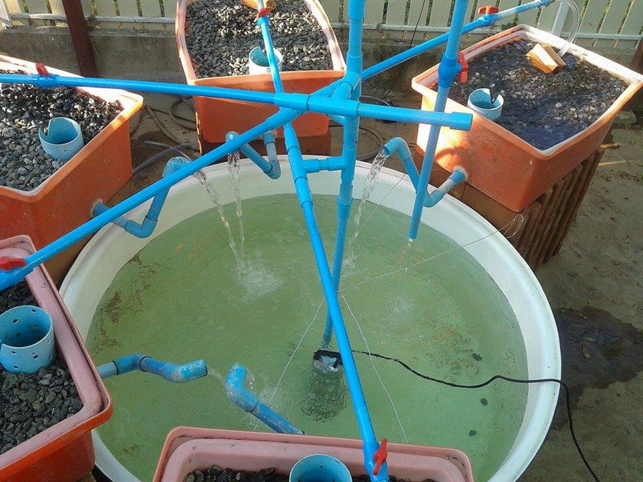 11996925_10153363762313585_315919351_n.jpg AP 2015.jpg