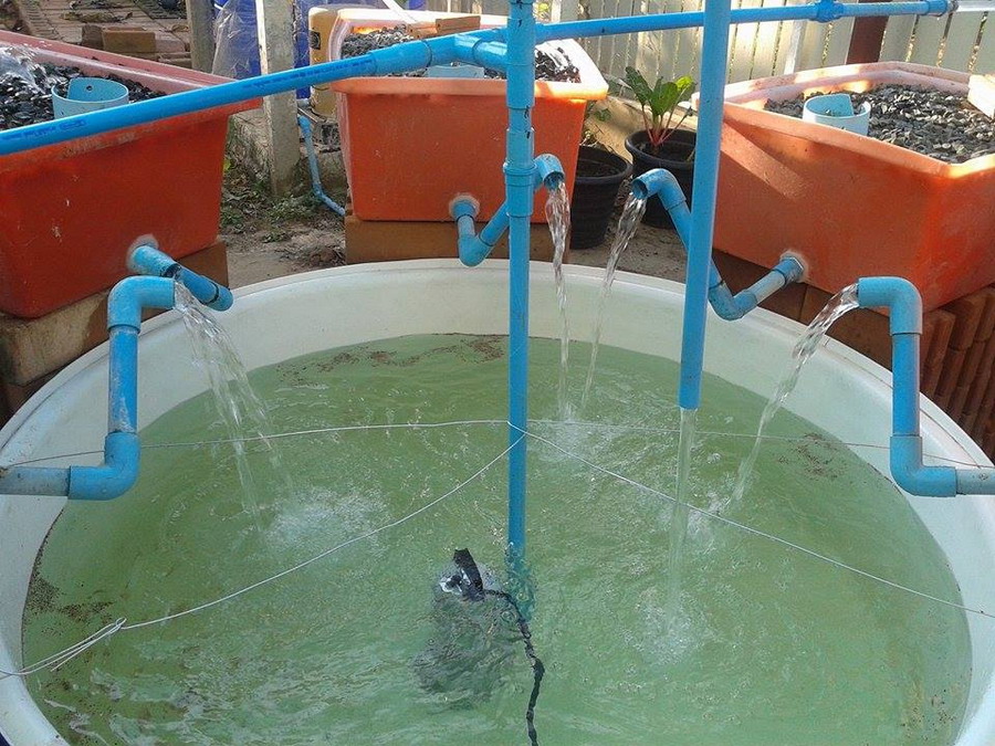 12202295_10153363762463585_1300103666_n.jpgAP 2015.jpg