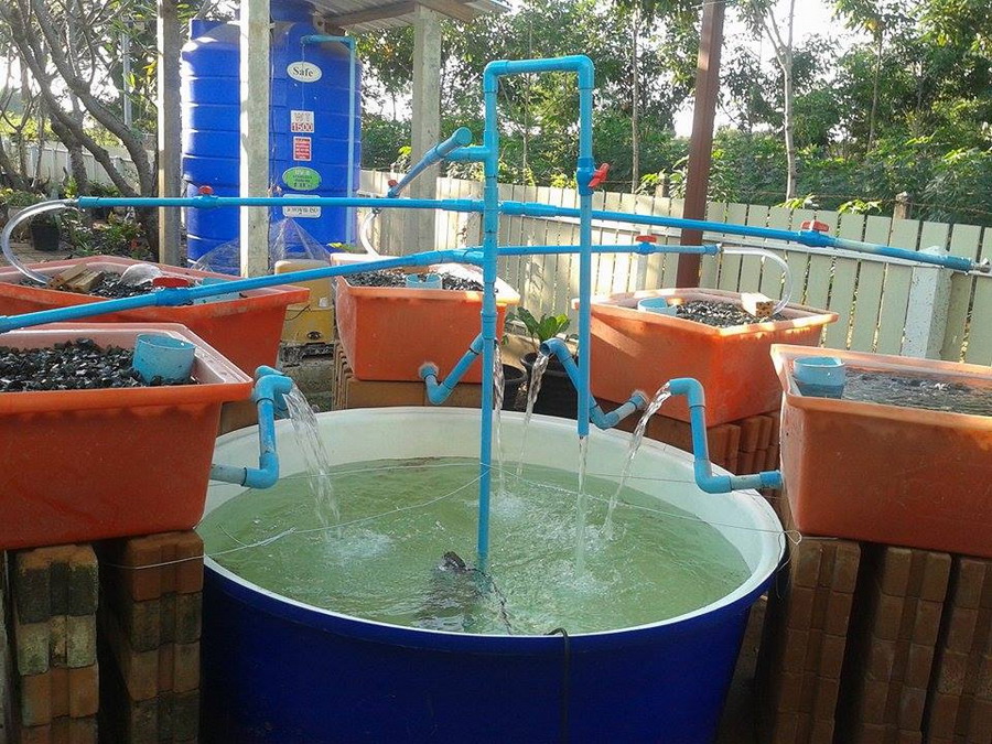 12202421_10153363762413585_1496552360_n.jpg AP 2015.jpg