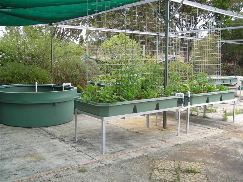 DSCN0296 (Medium).JPG