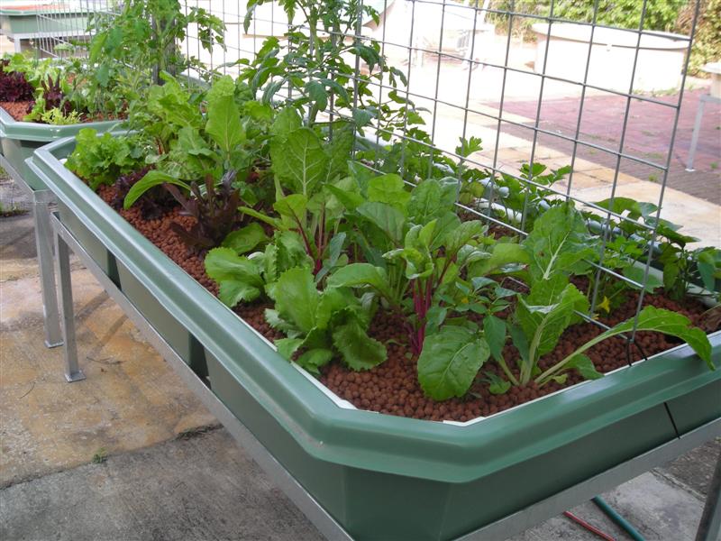 DSCN0283 (Medium).JPG