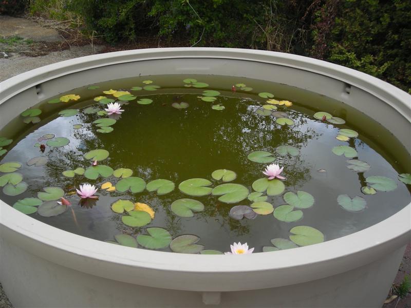 DSCN0301 (Medium).JPG