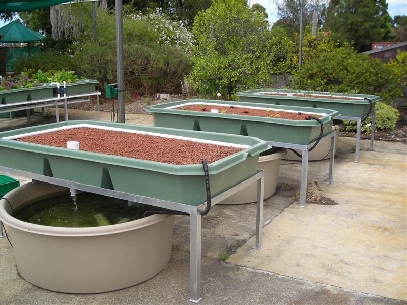 DSCN0300 (Medium).JPG